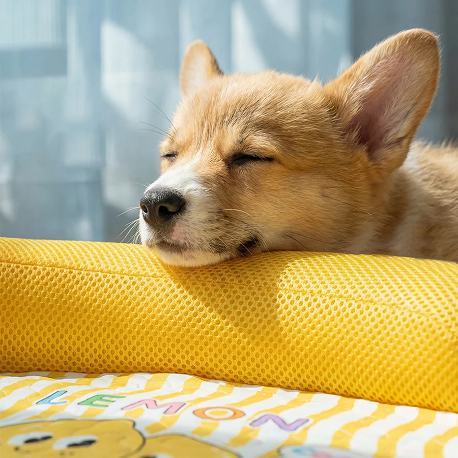 Spring and summer pet bed, removable and washable, cool and breathable dog and cat bed, suitable for small and medium-sized pets. - AliExpress 15 - Image 5